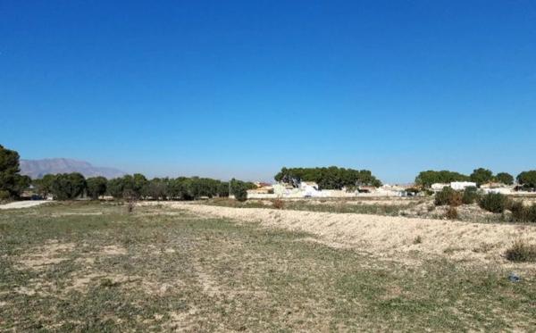 Terreno en Monforte del Cid
