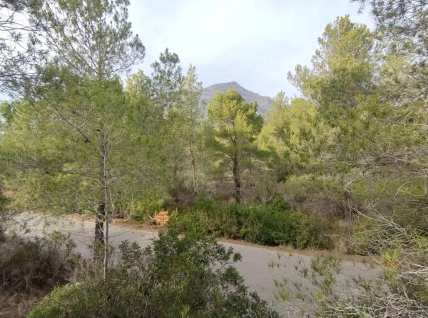 Terreno en Partida Tapia, 77