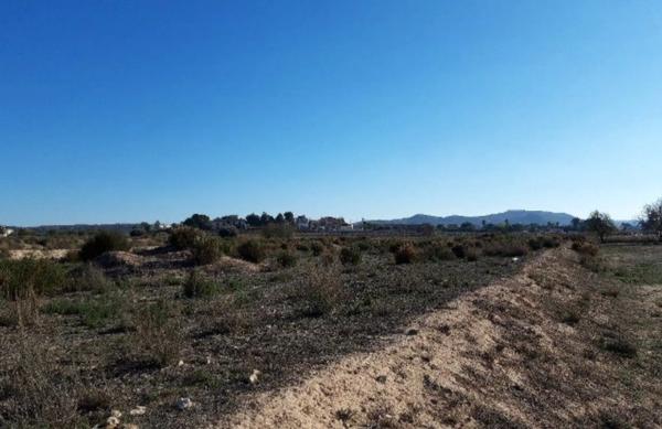 Terreno en Monforte del Cid