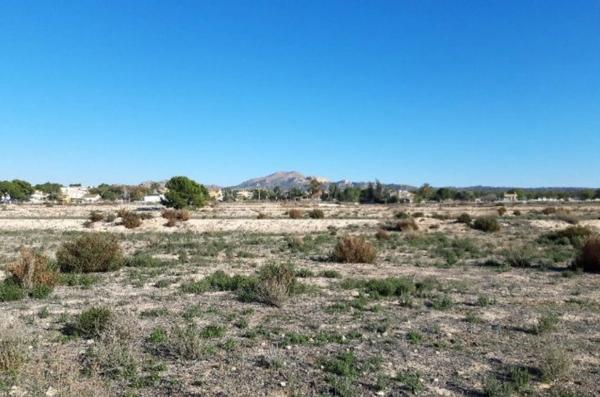 Terreno en Monforte del Cid