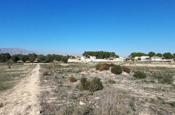 Terreno en Monforte del Cid