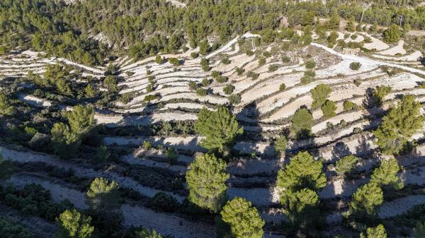 Terreno en Partida Deroca