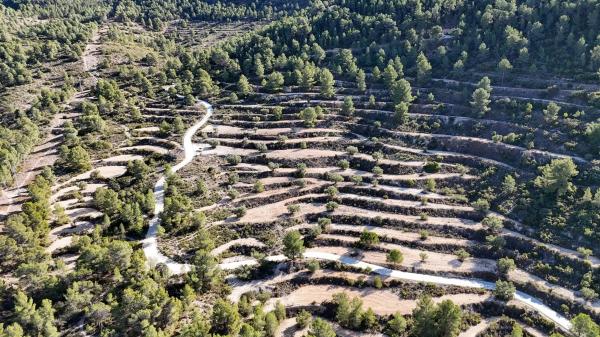 Terreno en Partida Deroca