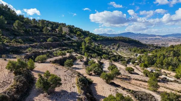 Terreno en Partida Deroca