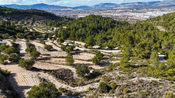 Terreno en Partida Deroca