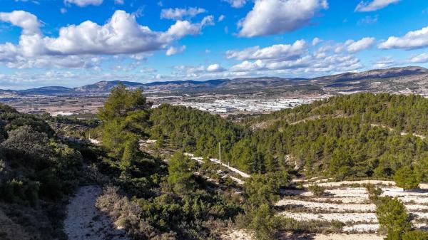 Terreno en Partida Deroca