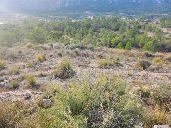 Terreno en La Romana