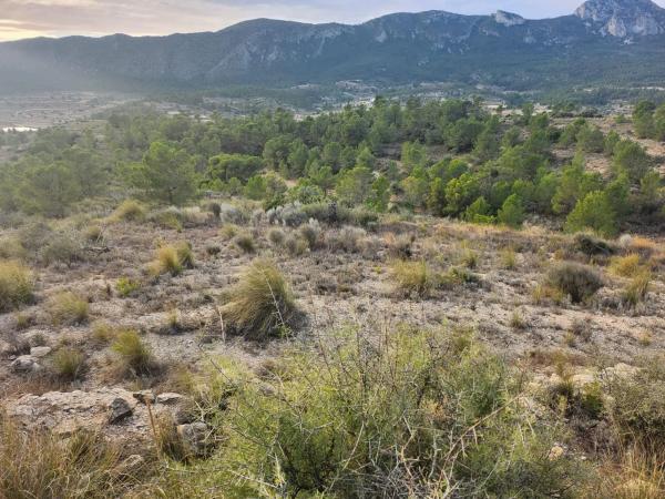 Terreno en La Romana