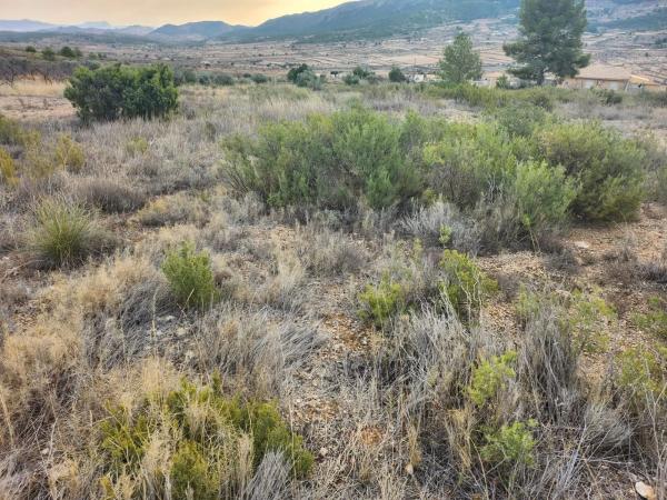 Terreno en La Romana