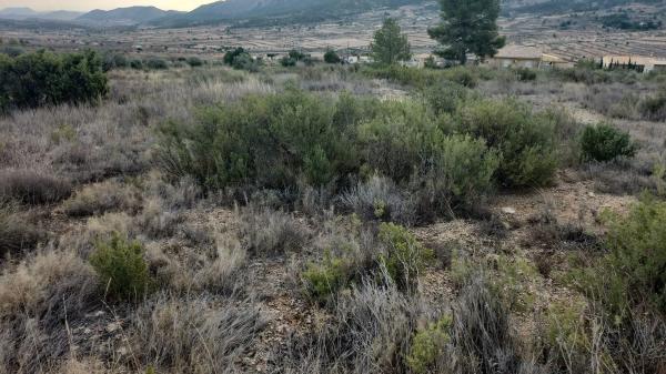 Terreno en La Romana