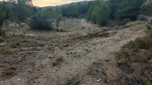 Terreno en La Romana