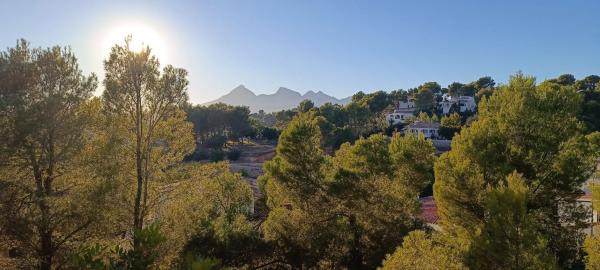 Terreno en calle Espino, 26