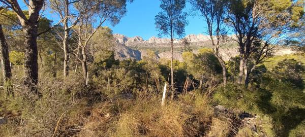Terreno en calle Espino, 26