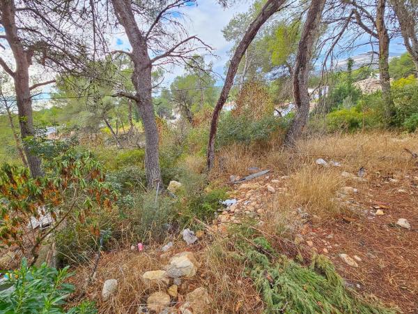 Terreno en La Granadella - Costa Nova