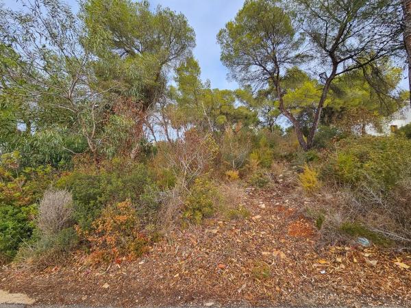 Terreno en La Granadella - Costa Nova