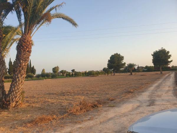 Terreno en avenida de la Constitución, km 2