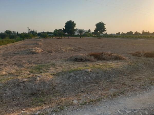 Terreno en avenida de la Constitución, km 2