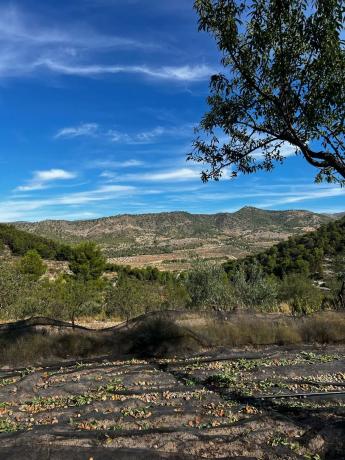 Terreno en Partida Serratella, km 0