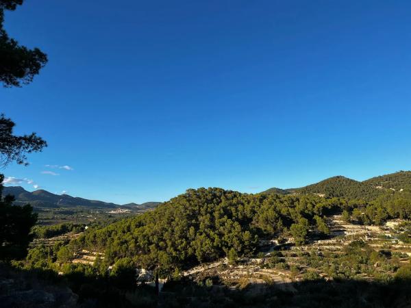 Terreno en Partida Serratella, km 0