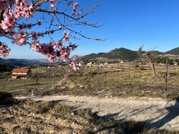 Terreno en Partida Rabosina, km 0
