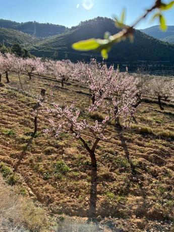 Terreno en Partida Rabosina, km 0
