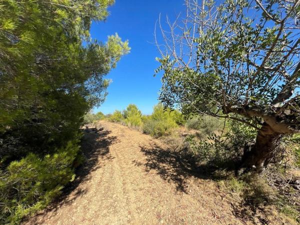 Terreno en Benissa pueblo
