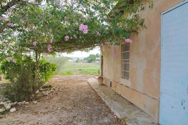 Terreno en camino Viejo de Hondón