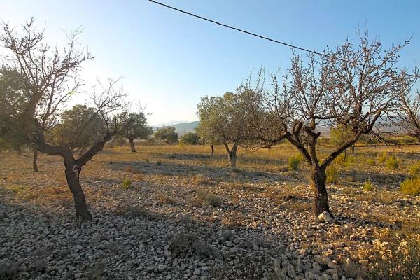Terreno en calle Doctor Fleming