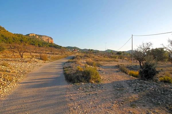 Terreno en calle Doctor Fleming
