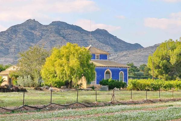 Terreno en camino Viejo de Hondón