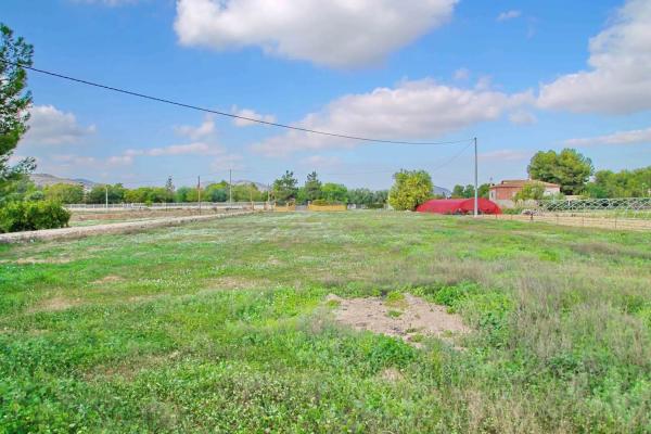 Terreno en camino Viejo de Hondón