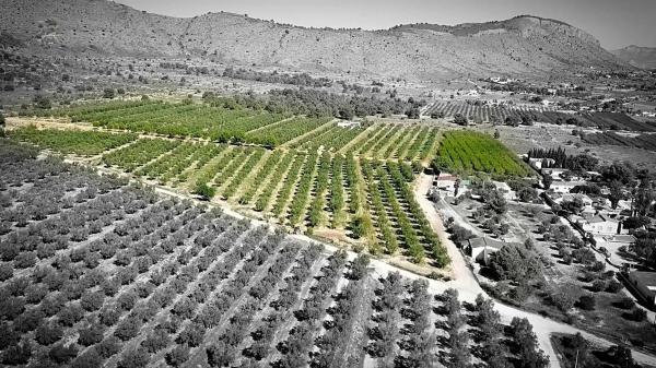 Terreno en Partida la Solana