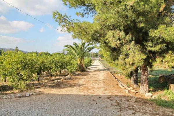 Terreno en camino Viejo de Hondón