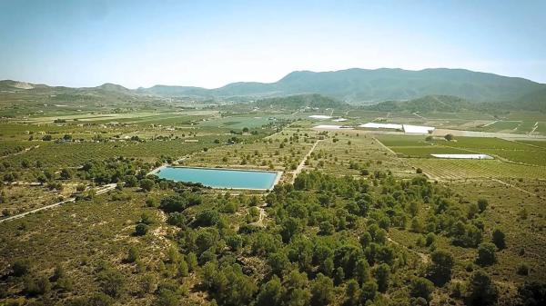 Terreno en Partida la Solana