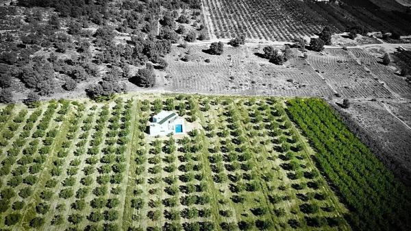 Terreno en Partida la Solana