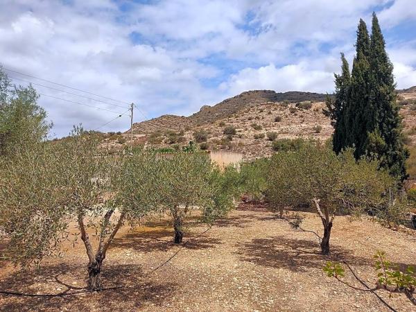 Terreno en camino Filtro