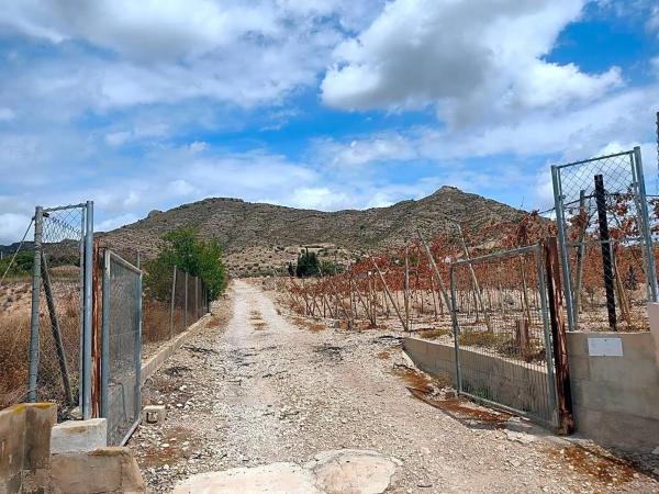 Terreno en camino Filtro