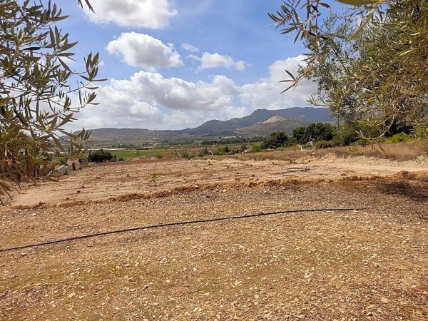 Terreno en camino Filtro