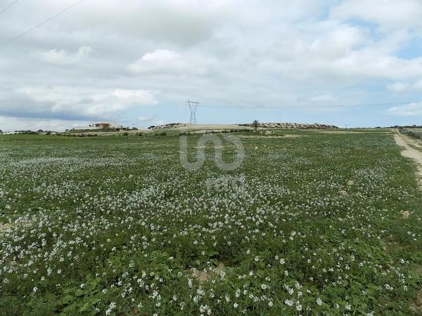 Terreno en calle Holanda, 3 -7