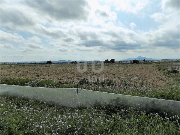 Terreno en calle Holanda, 3 -7