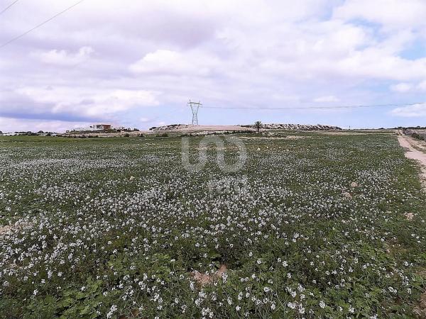 Terreno en calle Holanda, 3 -7