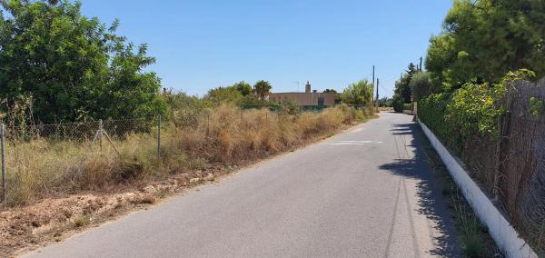 Terreno en camino Juncaret, 19