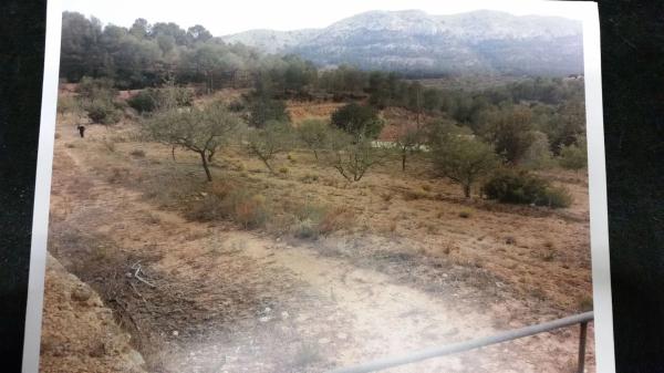 Terreno en partida raco bosuna, 41