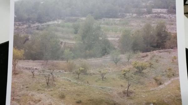 Terreno en partida raco bosuna, 41