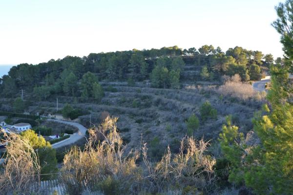 Terreno en camino de Fanadix