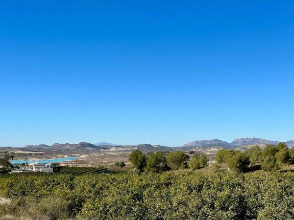 Terreno en calle Torrevieja, 951