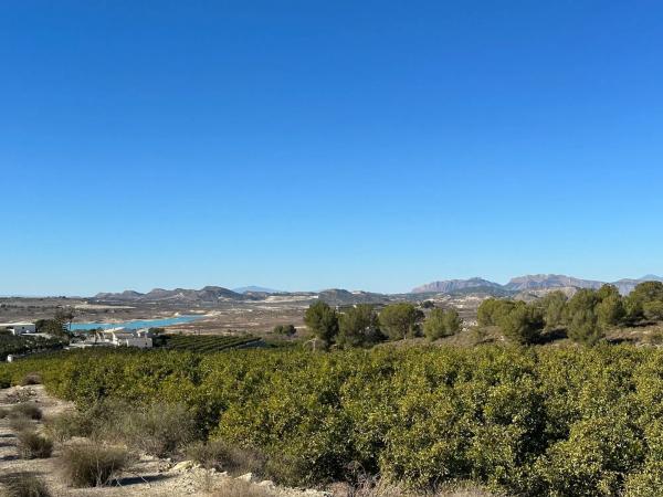 Terreno en calle Torrevieja, 951