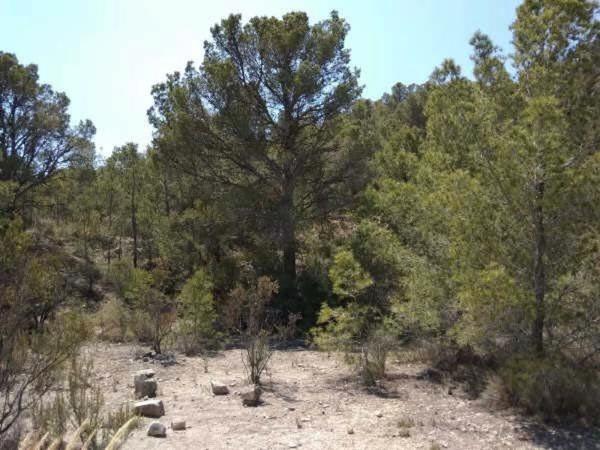 Terreno en Polígono 26 s/n