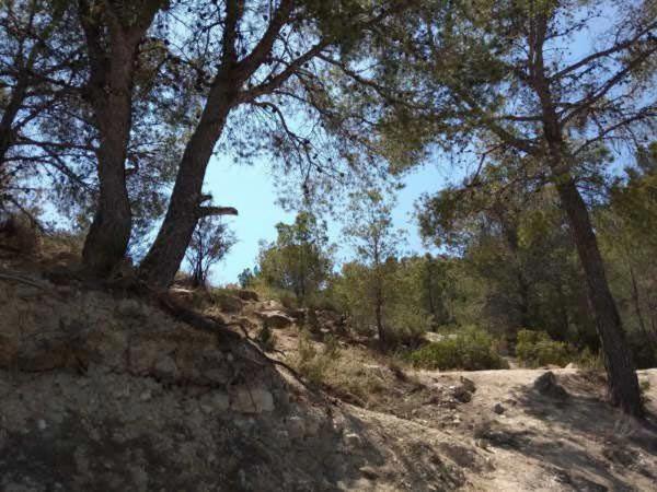 Terreno en Polígono 26 s/n