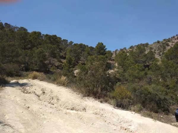 Terreno en Polígono 26 s/n